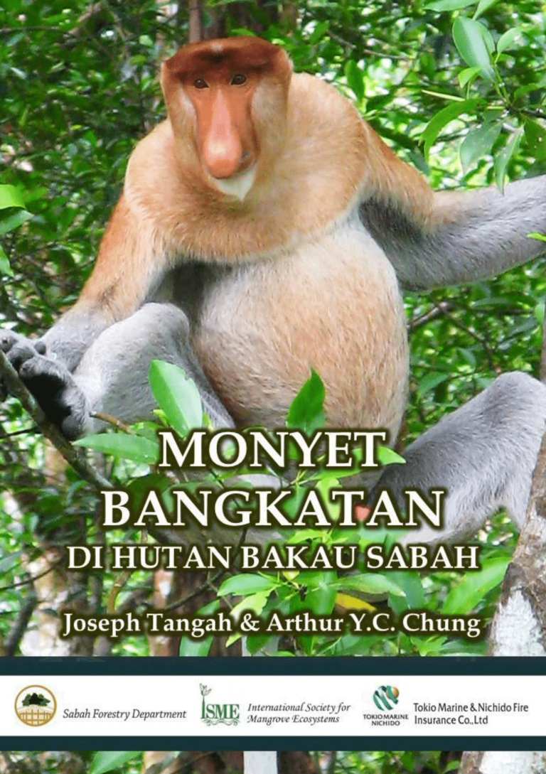 Monyet.Bangkatan.BakauSabah-1