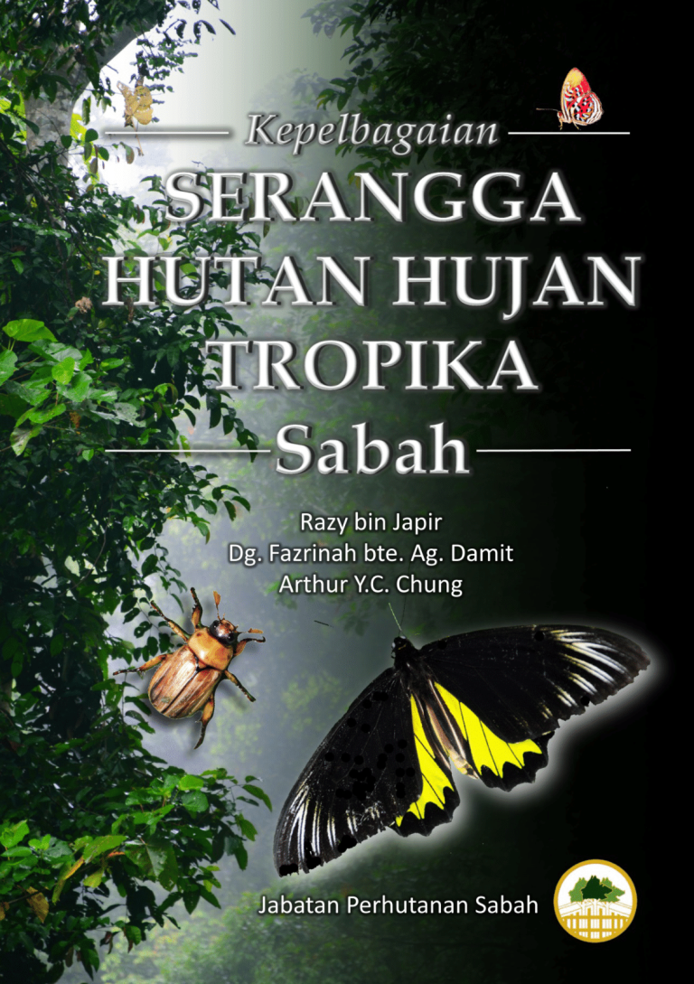 SeranggaSabah-1