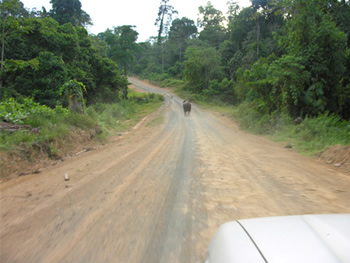 Main Road